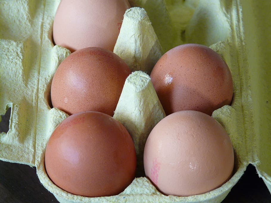 egg box, egg, food, food and drink, freshness, healthy eating, wellbeing, close-up, indoors, still life