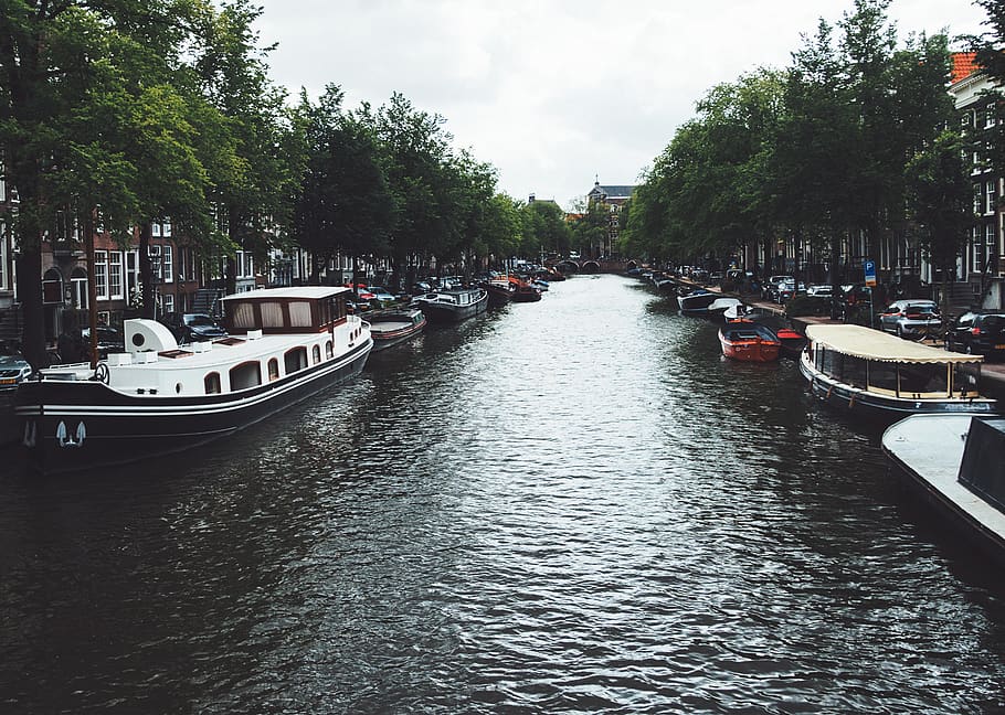 canal, water, boats, trees, city, town, mode of transportation, nautical vessel, transportation, tree