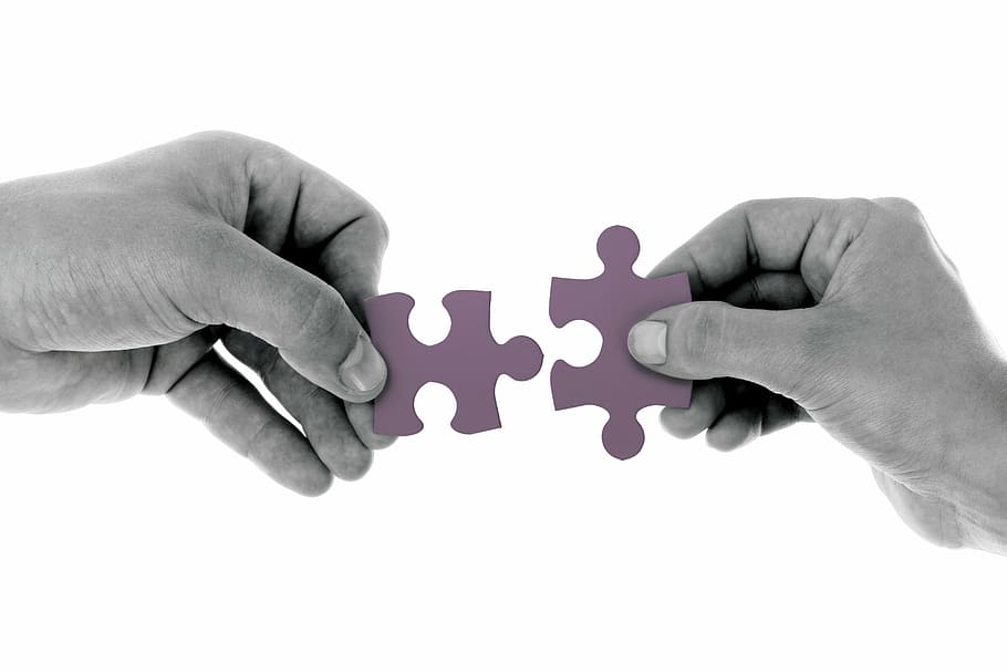 two, person, holding, purple, puzzles, connect, jigsaw, strategy, puzzle pieces, business solutions
