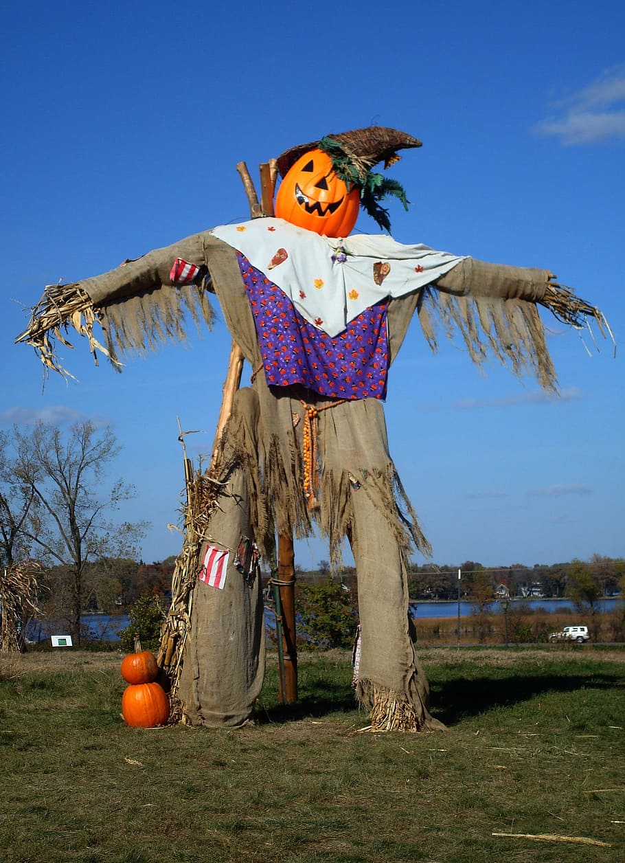 orange, jack-o-lantern scarecrow, daytime, scarecrow, autumn, fall, seasonal, harvest, halloween, holiday