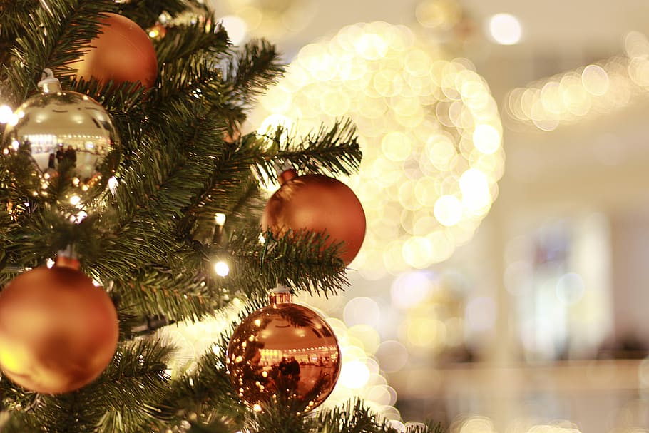 ティルトシフトレンズビュー, ブラウン, つまらないもの, ライト, ティルトシフトレンズ, ビュー, クリスマスツリー, クリスマス, クリスマスの装飾, ボール