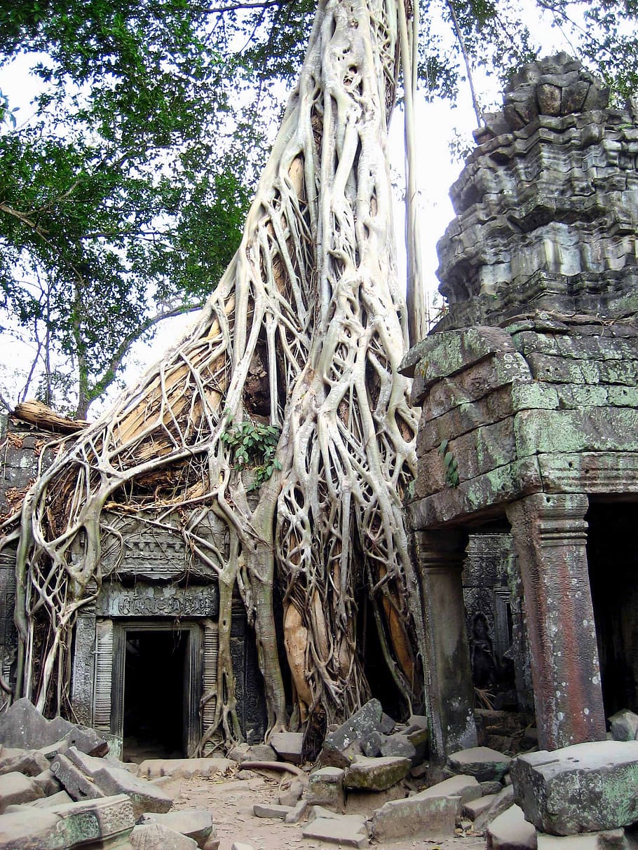 cambodia, ruins, ancient, asia, travel, temple, angkor, wat, religion, khmer