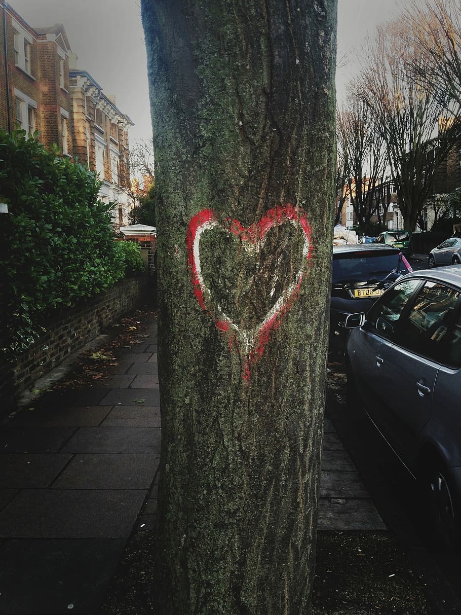 Pohon, Cinta, Jantung, Jalan, London, valentine, romantis, grafiti, tanda, model tahun