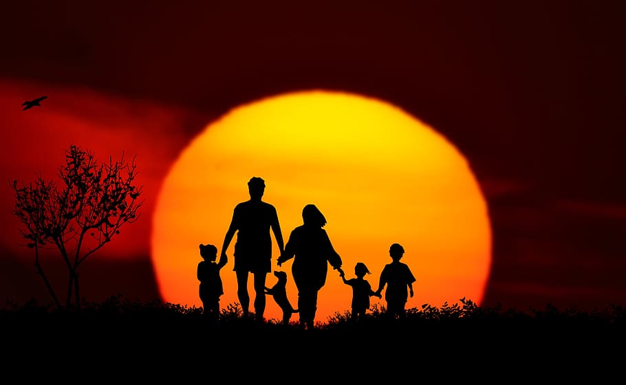 puesta de sol, familia, paisaje, silueta, más, niños, perro, padres, naturaleza, amanecer