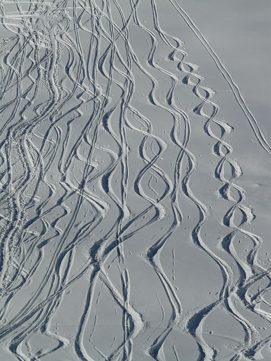 Esquí, Partida, Wag, Trace, Curvas, nieve en polvo, invernal, nieve profunda, nieve, invierno