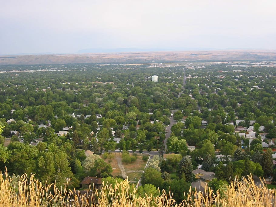 pemandangan, Abaikan, Billings, Montana, foto, horizon, domain publik, pohon, Amerika Serikat, alam