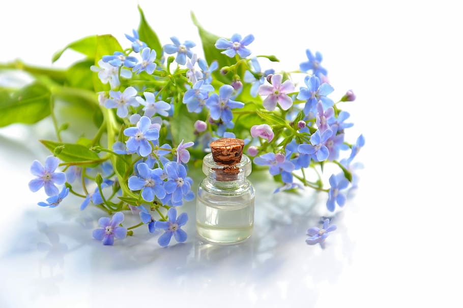 purple 5-petaled flowers, cosmetic oil, essential oil, cosmetology, forget-me-not, brunnera, flowers, blue flowers, aromatherapy, spa