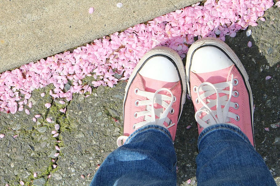 rosa, branco, converse, sapatos, par, sapatos Converse, primavera, mandris, flores cor de rosa, flores