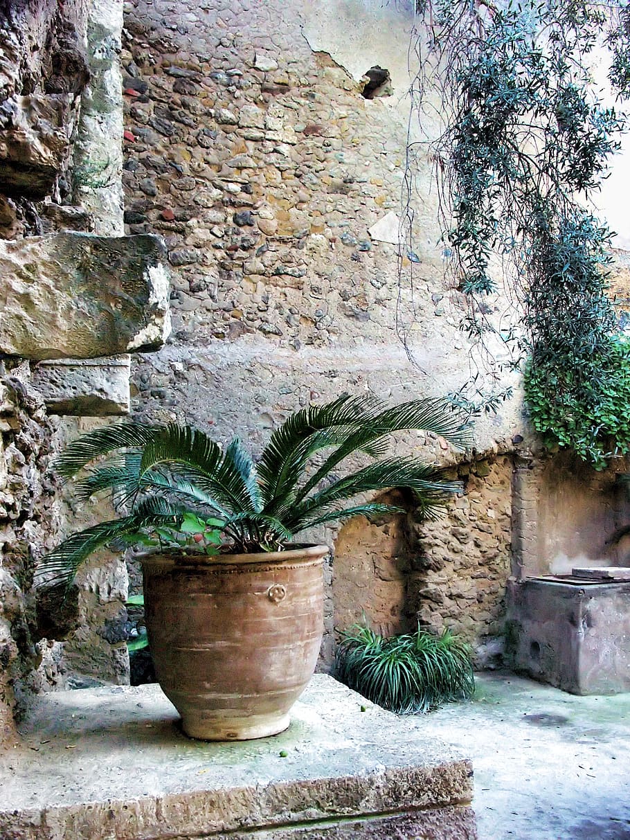 italy, ischia, castello aragonese, passage, stone, wall, plant pots, impressions, mood, plant