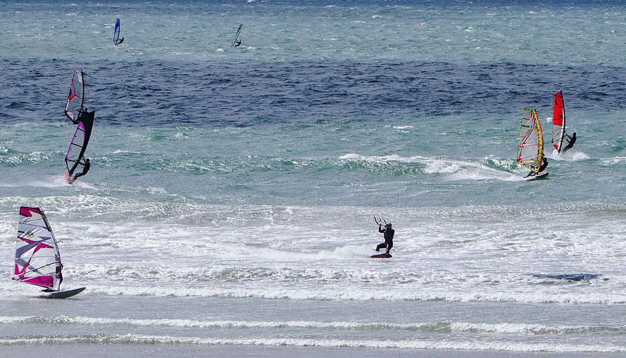 seascape, wind surfing, kite surfing, coast, brittany, sport, sea, aquatic sport, water, surfing