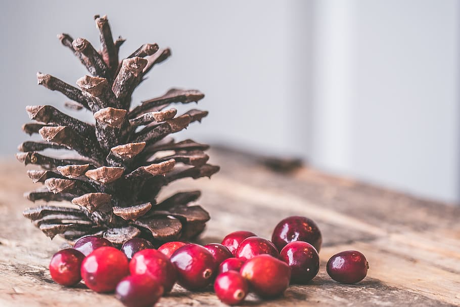 cranberries, pine cone, christmas, decoration, decor, rustic, table, wood, wooden, cc0