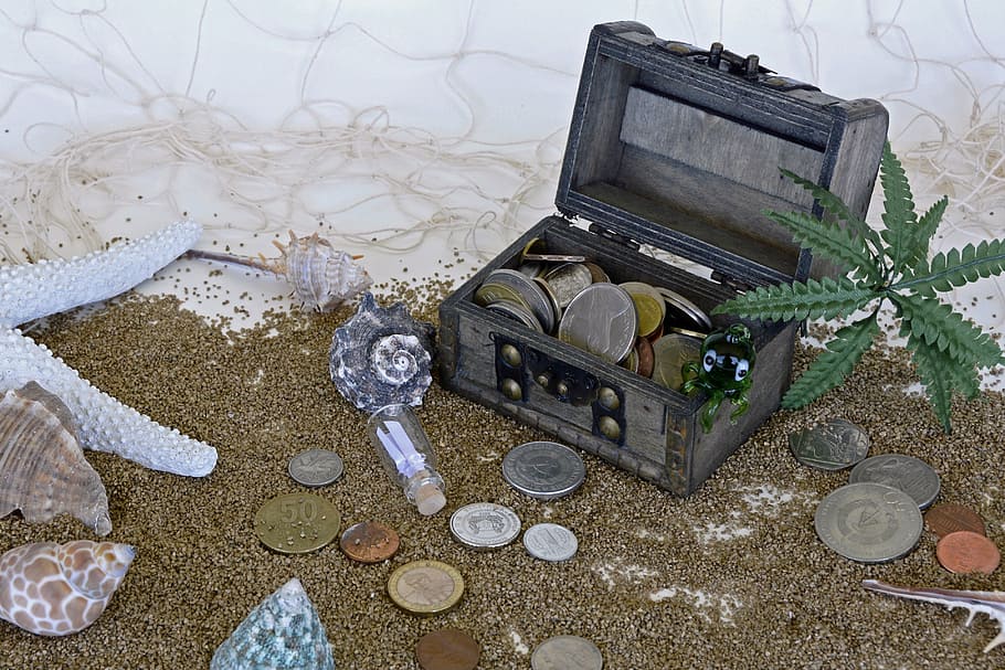 gray, coin chest, brown, sand, treasure chest, squid, palm, starfish, mussels, coins
