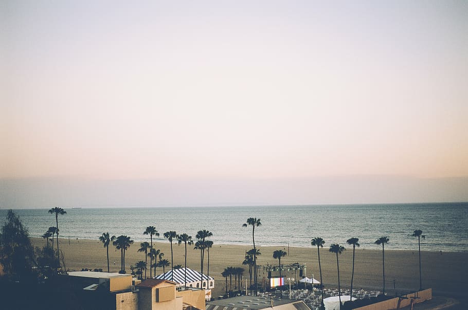 aerial, photography, beach, palm trees, buildings, green, trees, cottages, santa monica, sand