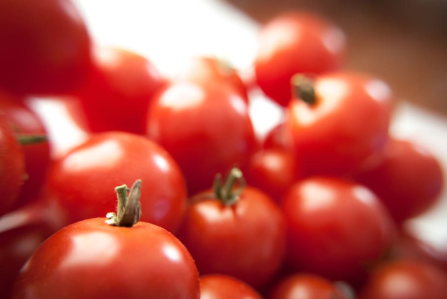 fresh, tomatoes, close up, garden, vegetable, fruit, food, healthy, ingredients, cooking