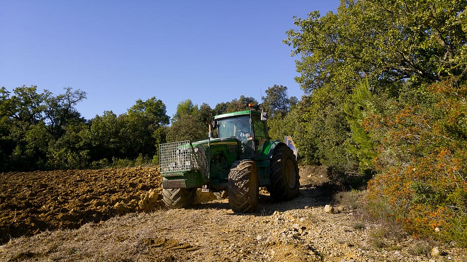 tractor, maquinaria agrícola, agricultura, campo, trabajo, transporte, planta, equipo agrícola, árbol, modo de transporte