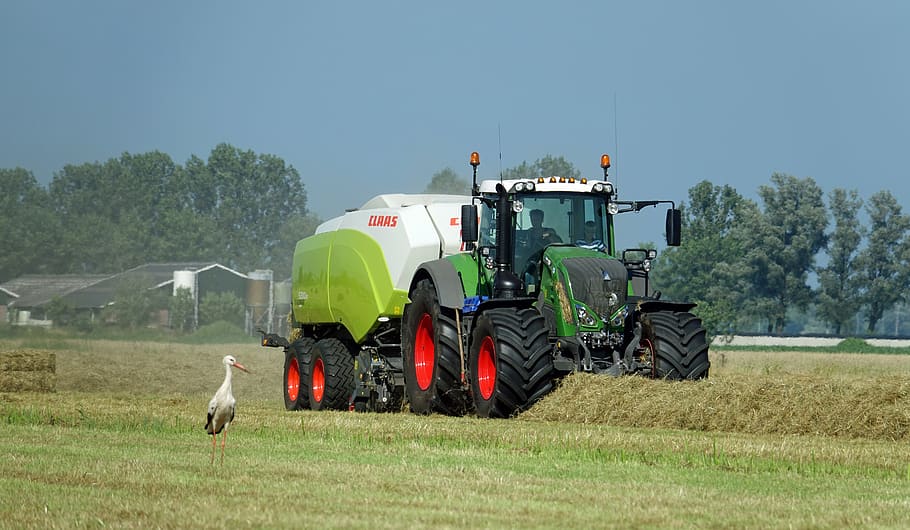 tractor, fendt, hay, grass, bales, baling, countryside, agriculture, farm, landscape