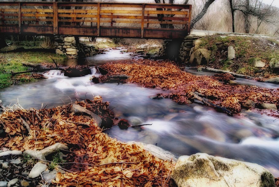 river, flowing, stream, bridge, autumn, landscape, water, rapids, flows, fast
