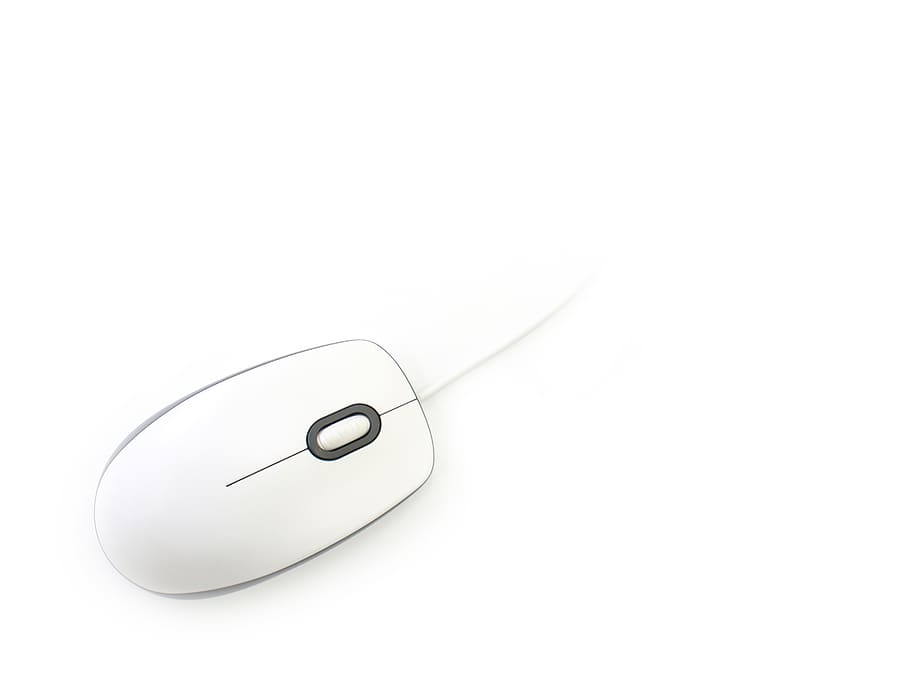 mouse, click bait, white, studio shot, copy space, white background, indoors, computer mouse, cut out, computer equipment