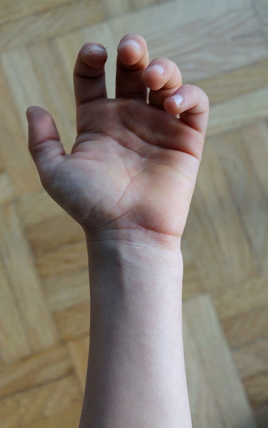 hand, fingers, veins, palm, human body part, human hand, real people, body part, one person, indoors