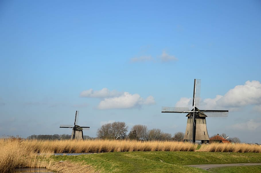 two, wind mills, green, grass field, Windmill, Holland, Tradition, Dutch, netherlands, landscape