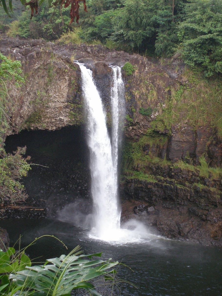 rainbow, falls, waterfall, hawaii, big island, hilo, water, beauty in nature, motion, forest