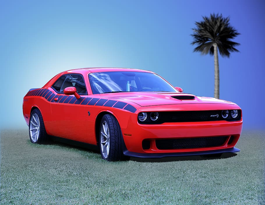dodge, challenger, american muscle, hellcat, hot rod, transportation, automobile, sports car, coupe, speed