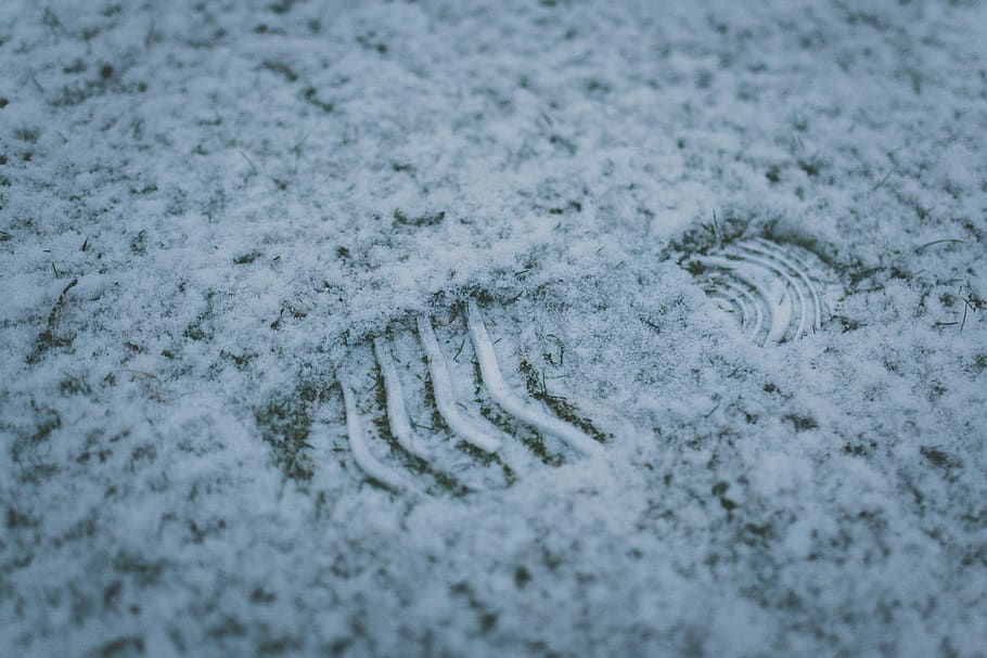 footprint, snow, winter, cold, white, outdoor, human, step, footstep, selective focus