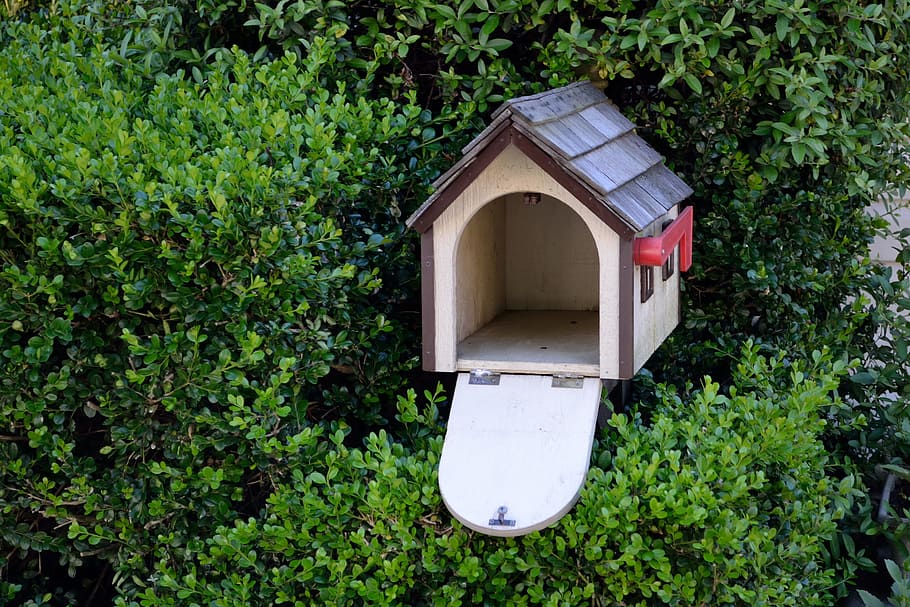 white, brown, wooden, mailbox, outdoor, bird house, garden, bird, nature, house