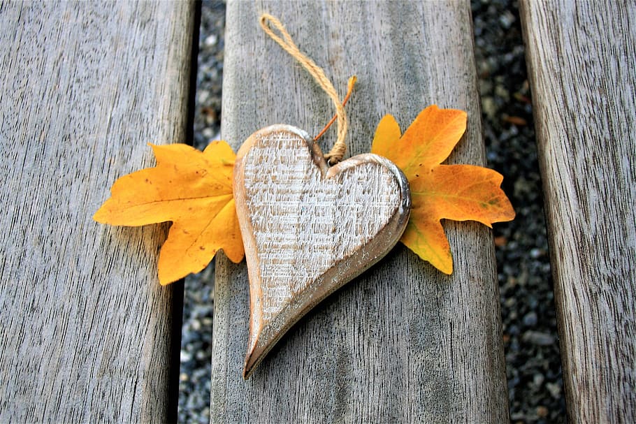 en forma de corazón, marrón, colgante, adorno, para, banco, corazón, otoño, octubre, regalo