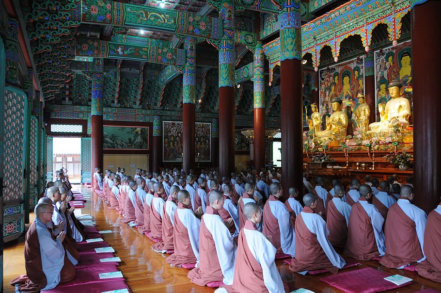 buddhism, buddha, temple, republic of korea, unmunsa, monk, prayer, chanting, traditional temples, section