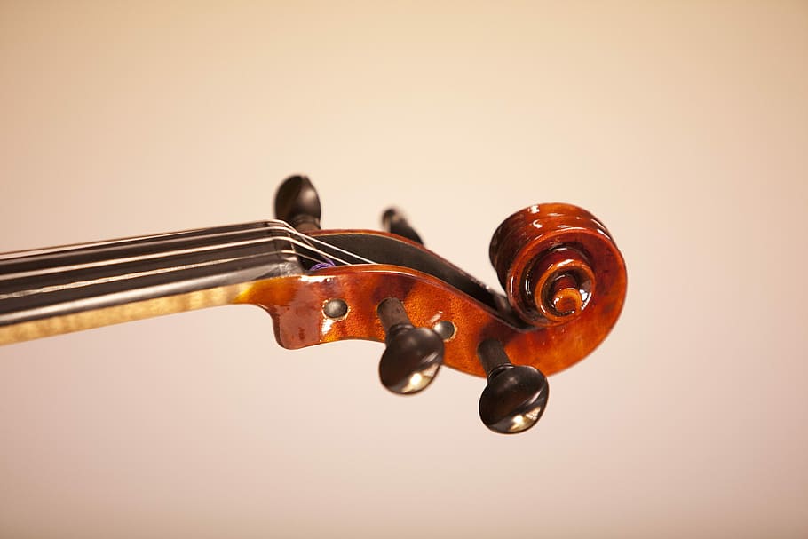 茶色のバイオリンのヘッドストック, 音楽, 楽器, クラシック, 演奏, 趣味, ミュージシャン, バイオリン, 弦楽器, オーケストラ