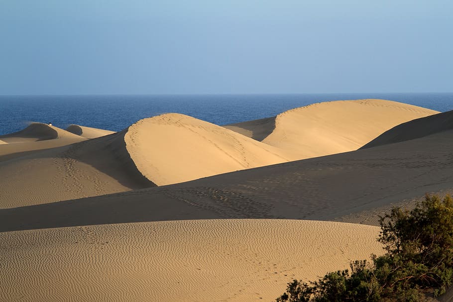 Maspalomas, Dunes, Sand Dunes, maspalomas, dunes, gran canaria, beach, canary islands, spain, sand, desert