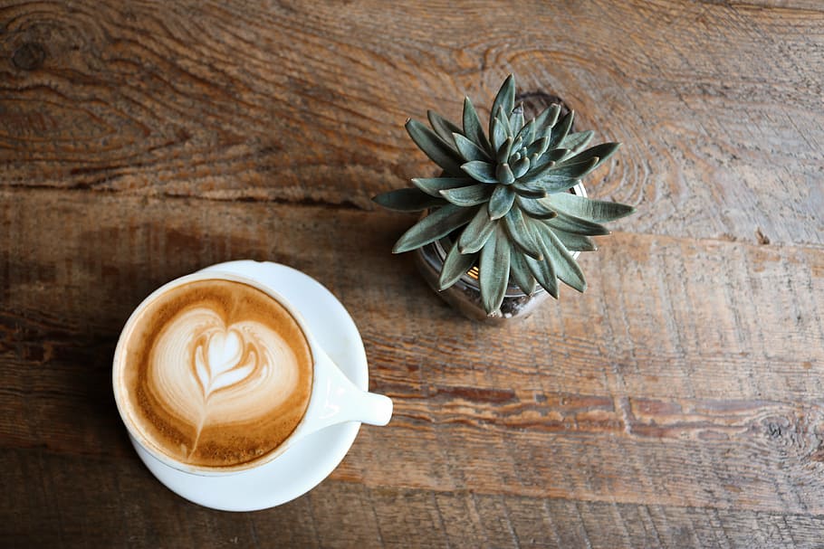 rosette latte, placed, succulent, plant, wood, coffee, cafe, hot, mug, cup