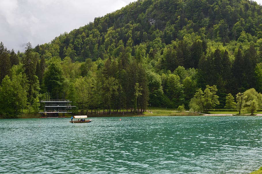slovenia, lake bled, lake, bled, water, travel, nature, landscape, outdoors, island