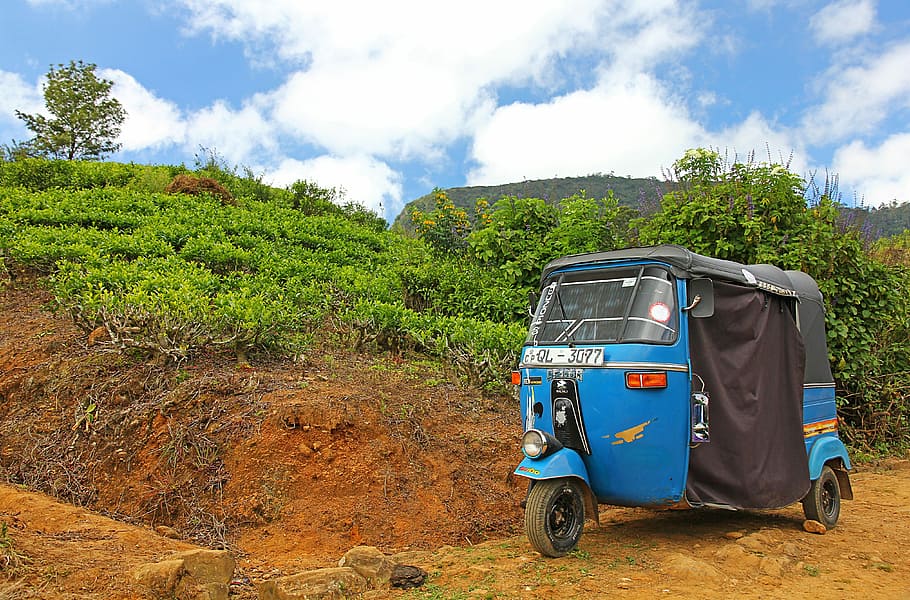 blue, black, auto rickshaw, parked, green, leaf plant, daytime, tuk-tuk, tricycle, plantation