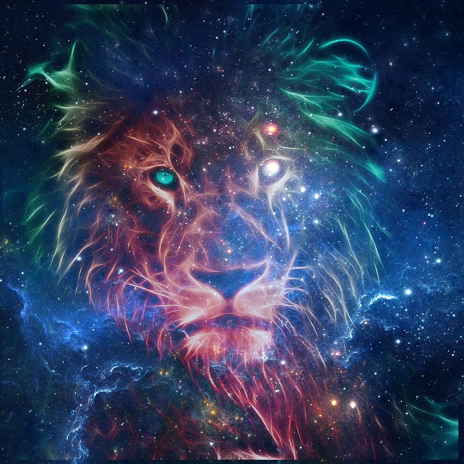 león, cielo, depredador, espacio, astronomía, estrella - espacio, noche, naturaleza, multicolor, sin gente
