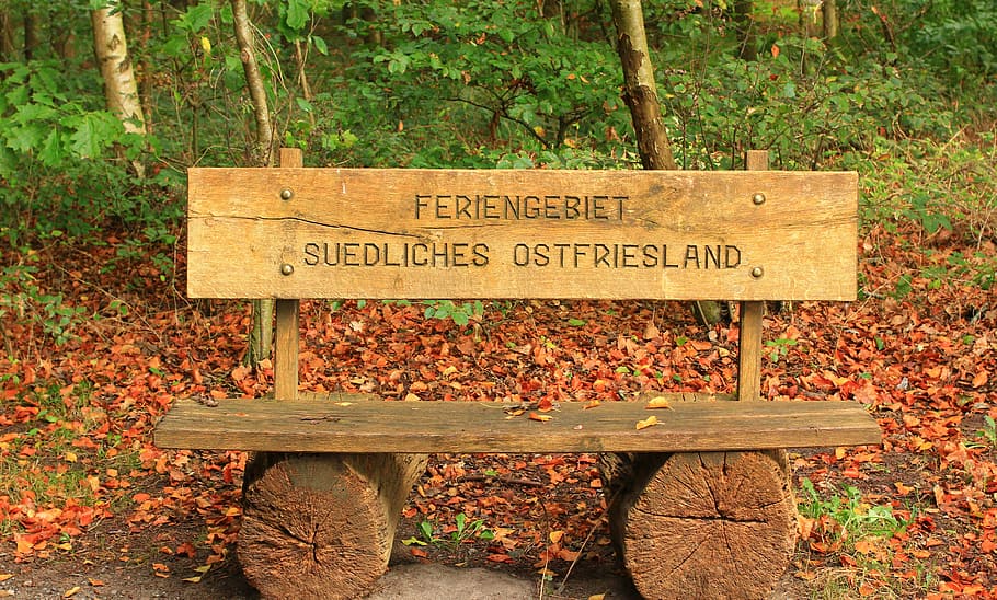 bench, bank, forest, nature, autumn, rest, seat, idyll, inscription, autumn forest