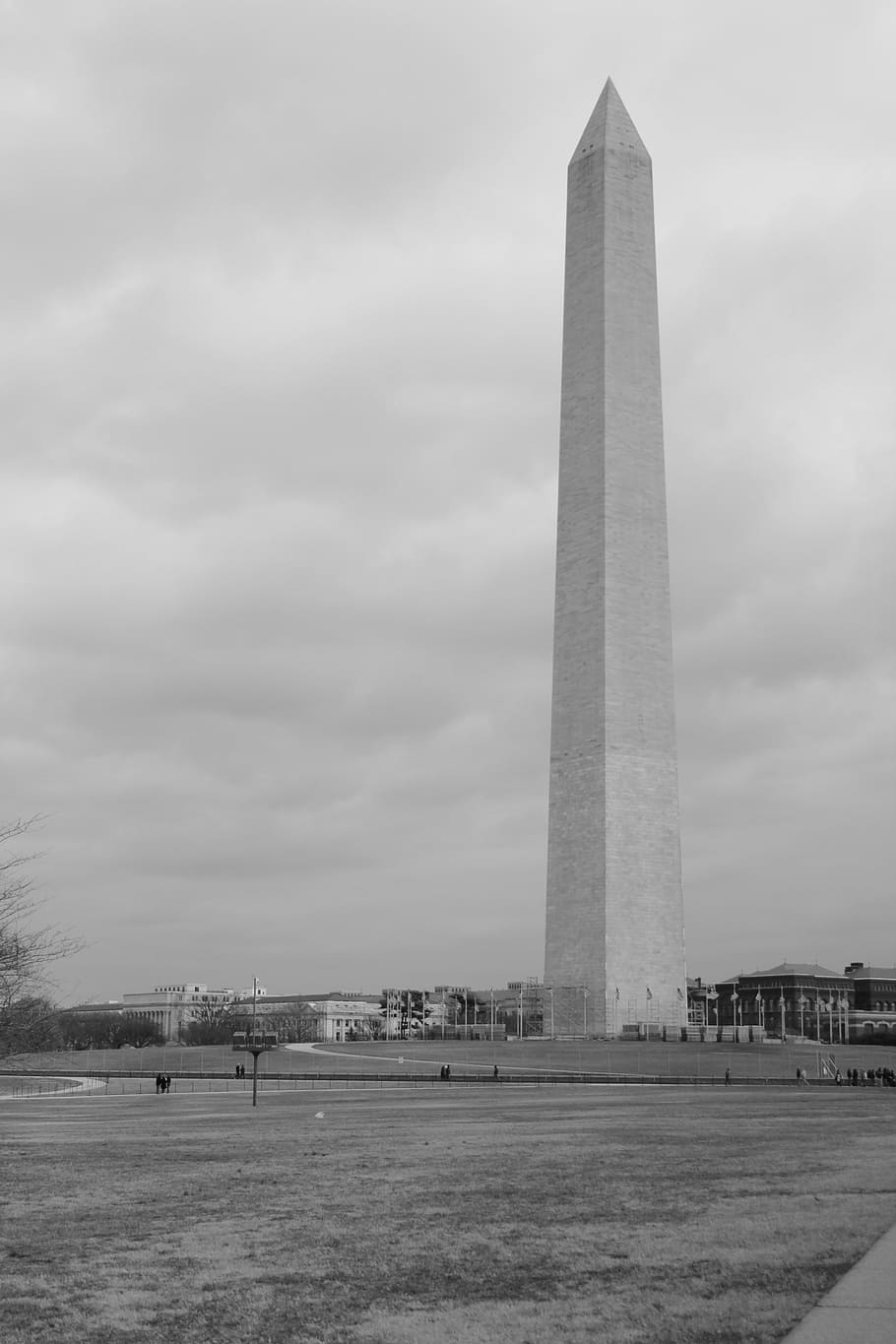 washington, monument, district of columbia, obelisk, black and white, bw, b w, grass, black, white