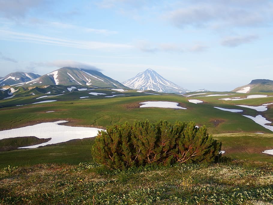 kamchatka, dataran tinggi gunung, tundra, gunung berapi, salju, musim panas, agustus, pegunungan, cedar, semak