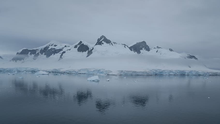 antarctica, ice, snow, mountains, reflection, sea, landscape, frozen, cold temperature, water