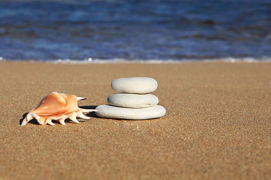 three, white, stone, seashell, seashore, daytime, balance, beach, blue, coastline