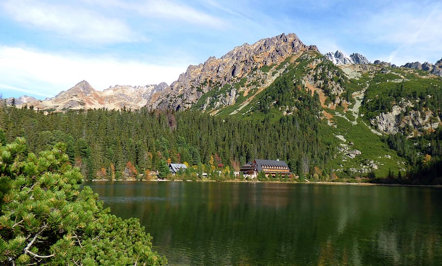 vysoké tatry, popradské lake, 숲, 산, 자연, 슬로바키아, 나무, 여행, 물, 자연의 아름다움