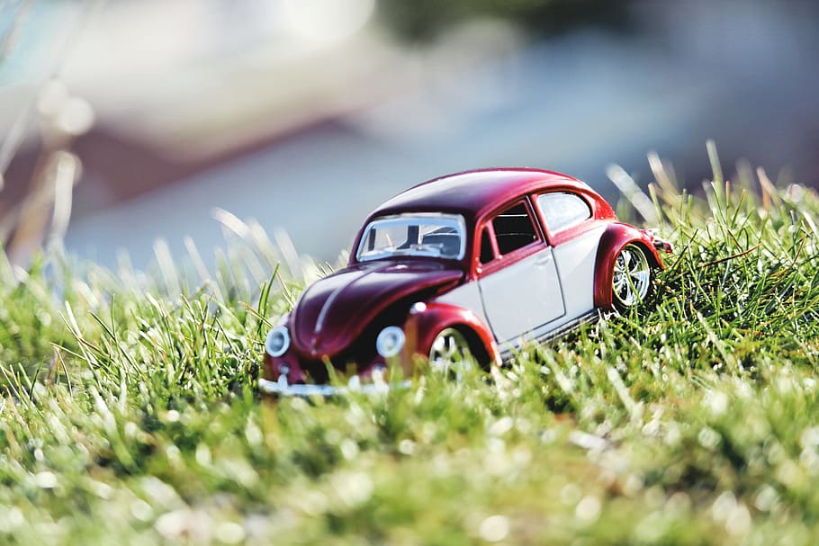 red, white, volkswagen, beetle, coupe, scale, model, grass, daytime, nature