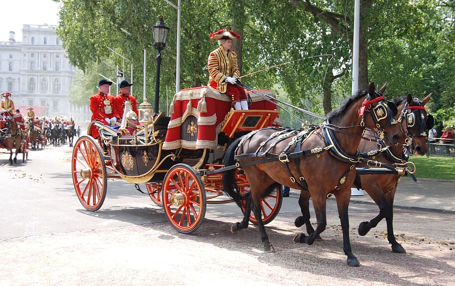 men, riding, carriage, dragged, buy, brown, horses, Ceremonial, Coach, Tradition