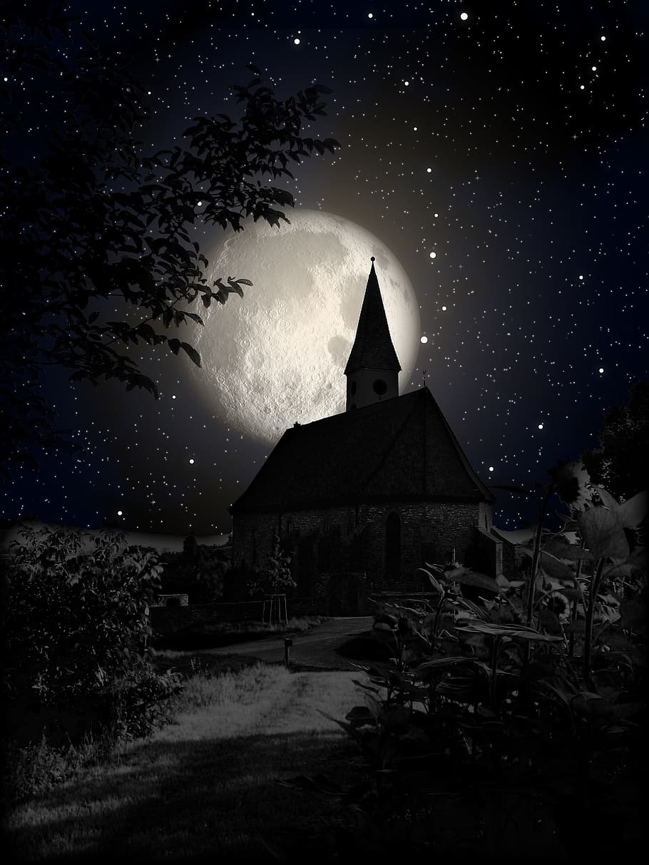 灰色, 茶色, 家の写真, 夜の時間, 家, 木, 月, 教会, 夜, 影