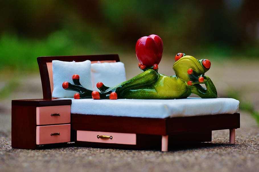 frog, love, bed, bedside table, heart, figure, funny, cute, concerns, couch