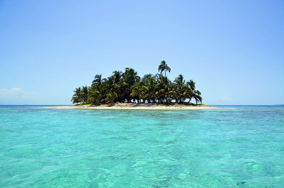 photography, coconut island, island, scenery, sea, landscape, palm trees, seascape, lagoon, beach