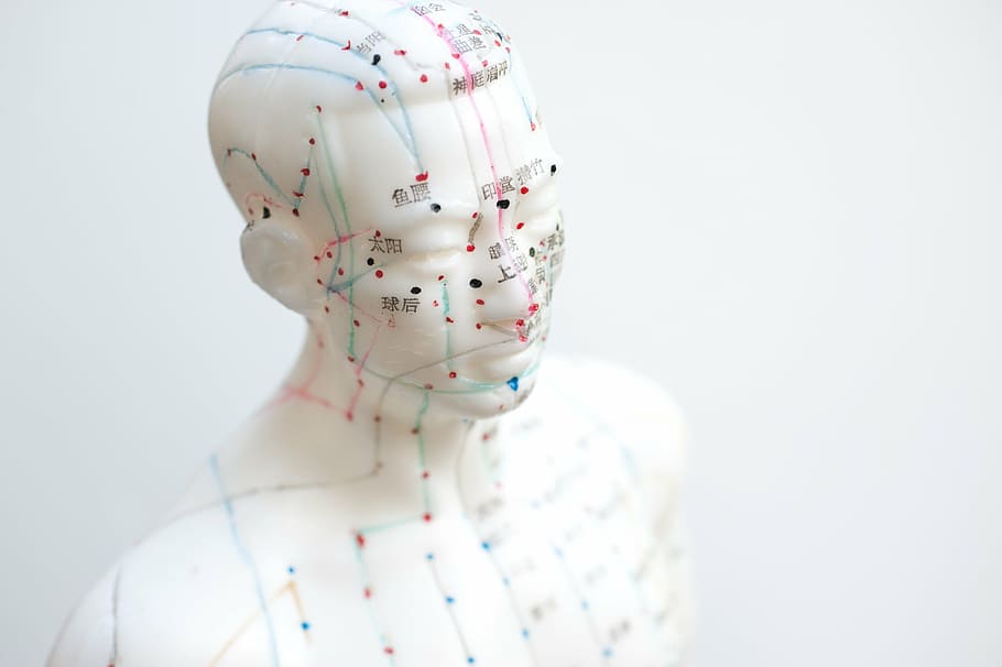 white, mannequin, color dots, aiguille, acupuncture, agujas acupuntura, model, map, human body, anatomy