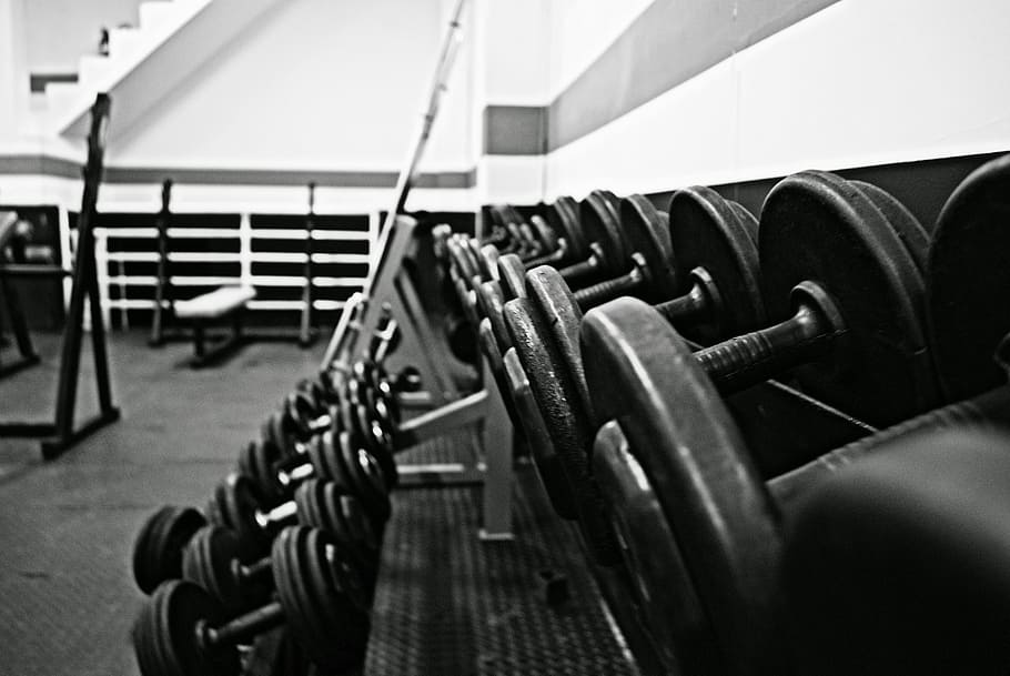 surtido, pesas, fotografía en escala de grises, gimnasio, academia, peso, músculo, hierro, culturismo, en una fila