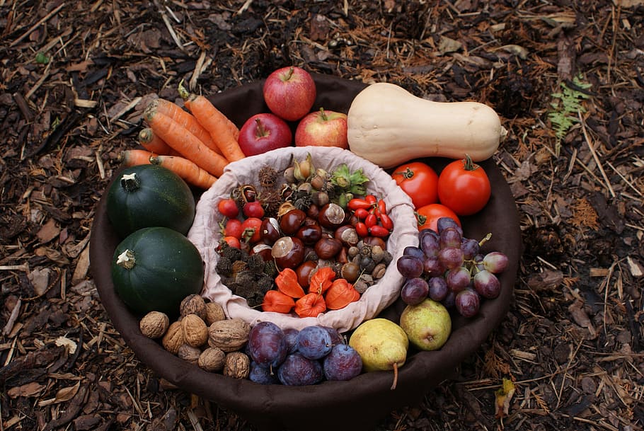 variety, vegetables, brown, clay container photo, brown clay, container, autumn, basket, harvest, pumpkin